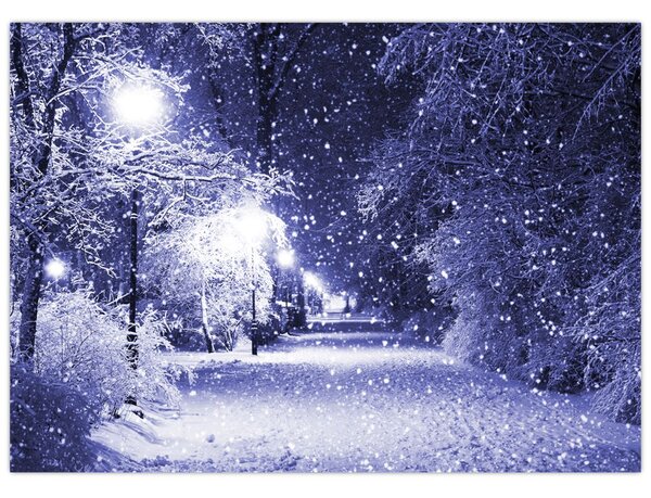 Obraz - Magiczna zimowa noc (70x50 cm)