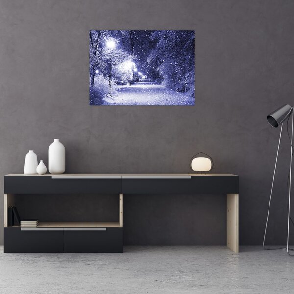 Obraz - Magiczna zimowa noc (70x50 cm)