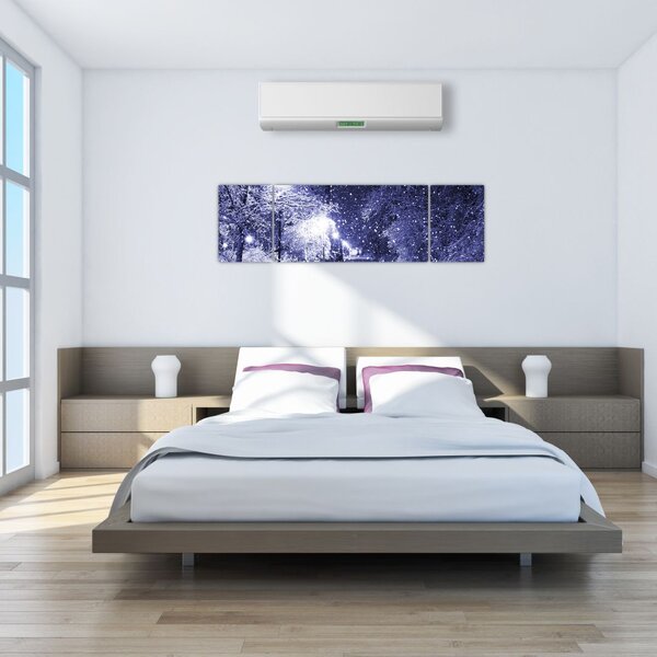 Obraz - Magiczna zimowa noc (170x50 cm)