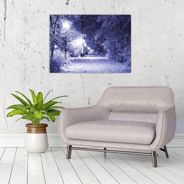 Obraz - Magiczna zimowa noc (70x50 cm)