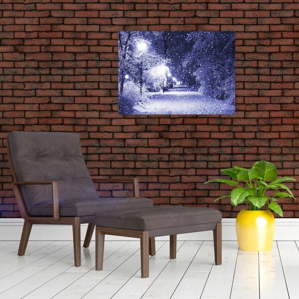 Obraz - Magiczna zimowa noc (70x50 cm)