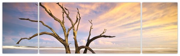 Obraz drzewa w oceanie (170x50 cm)
