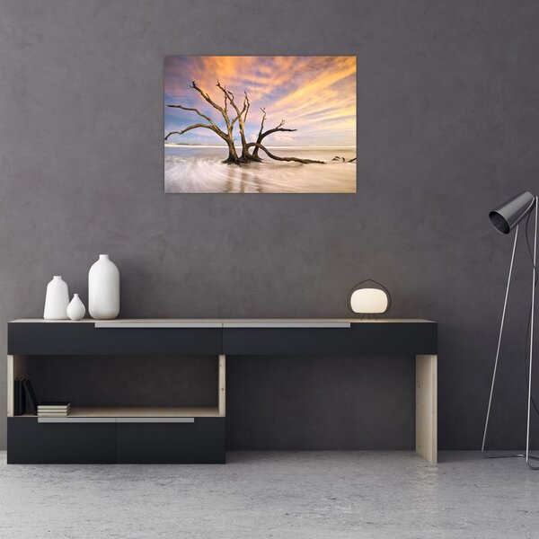 Obraz drzewa w oceanie (70x50 cm)