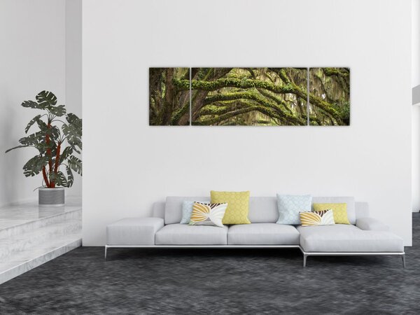 Obraz - Oaks Avenue, Charleston, Karolina Południowa, USA (170x50 cm)