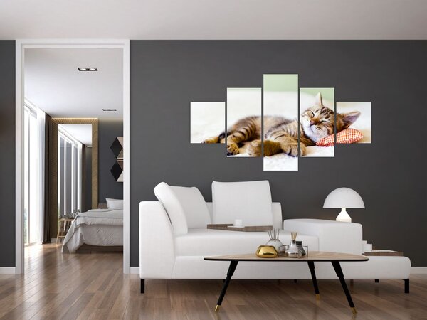 Obraz - Śpiący kotek (125x70 cm)