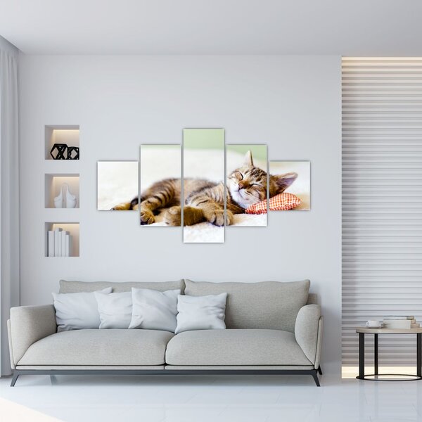 Obraz - Śpiący kotek (125x70 cm)