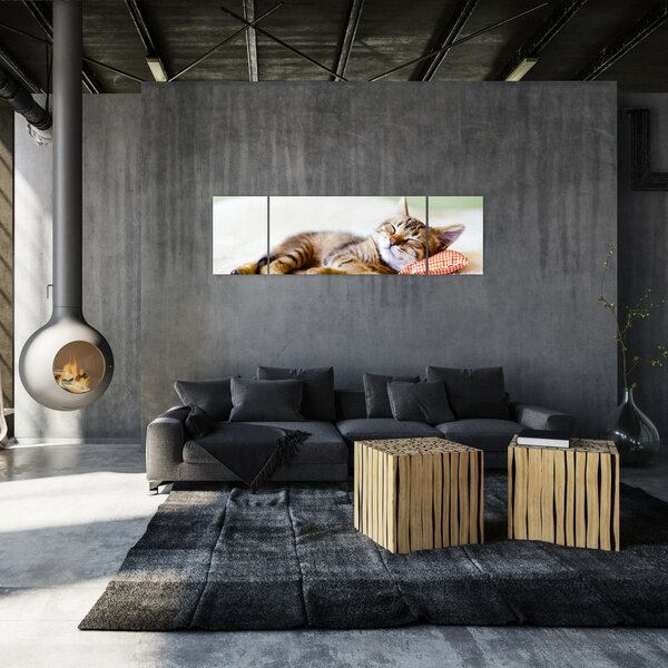 Obraz - Śpiący kotek (170x50 cm)