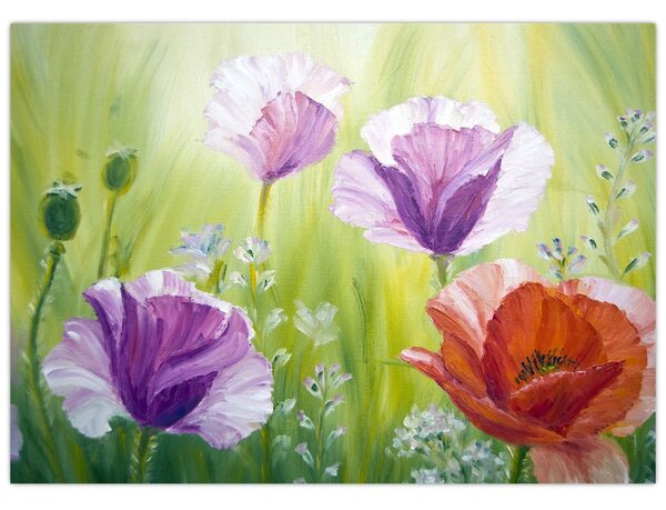 Obraz - Maki (70x50 cm)