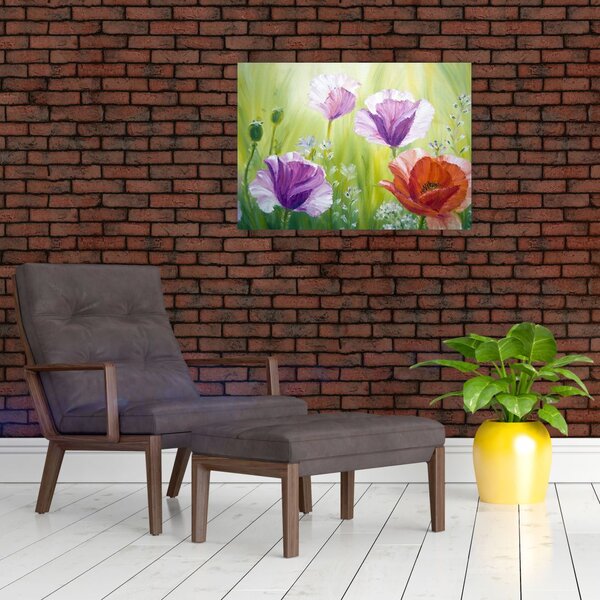 Obraz - Maki (70x50 cm)