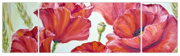 Obraz - Kwiaty maku (170x50 cm)