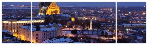 Obraz - Katedra św. Piotra i Pawła, Brno, Czechy (170x50 cm)