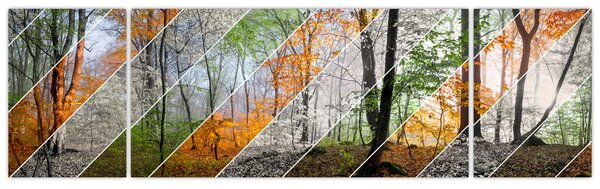 Obraz - Zmieniające się pory roku (170x50 cm)