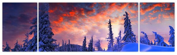 Obraz - Zimowy zmierzch (170x50 cm)