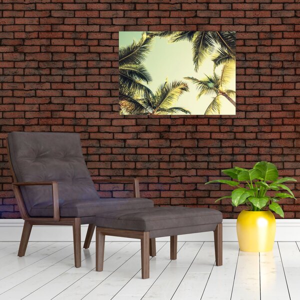 Obraz z palmami kokosowymi (70x50 cm)