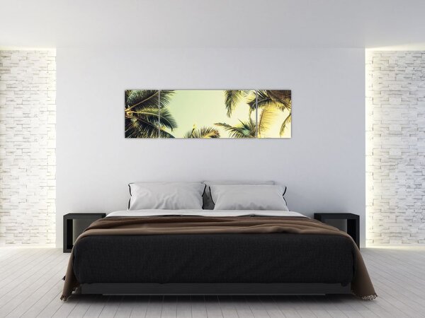 Obraz z palmami kokosowymi (170x50 cm)
