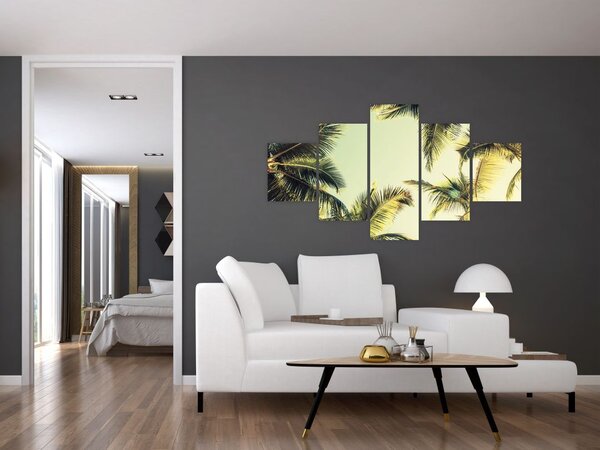 Obraz z palmami kokosowymi (125x70 cm)