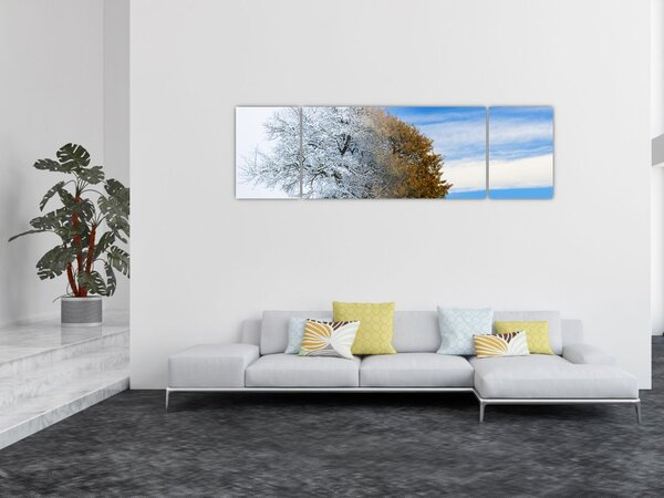 Obraz - Zmiana pór roku (170x50 cm)