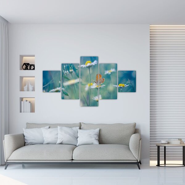 Obraz - Motyl na stokrotce (125x70 cm)