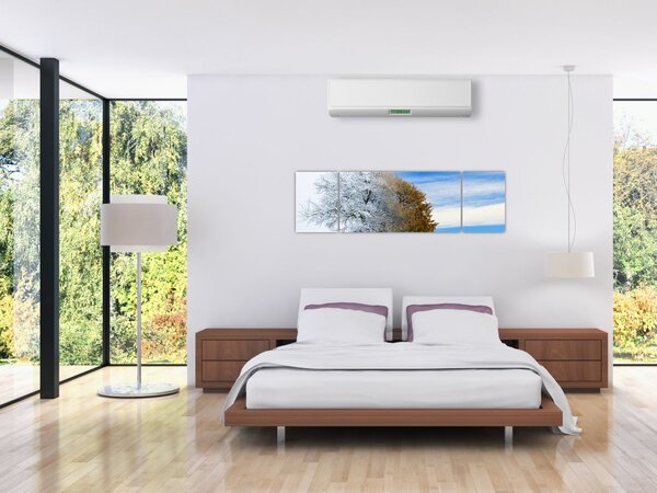 Obraz - Zmiana pór roku (170x50 cm)