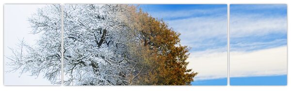 Obraz - Zmiana pór roku (170x50 cm)