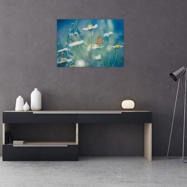 Obraz - Motyl na stokrotce (70x50 cm)