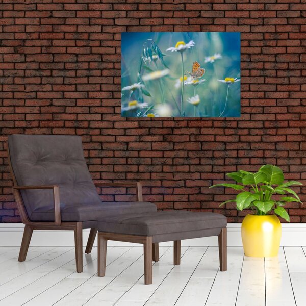 Obraz - Motyl na stokrotce (70x50 cm)
