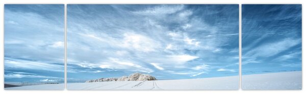 Obraz pola (170x50 cm)