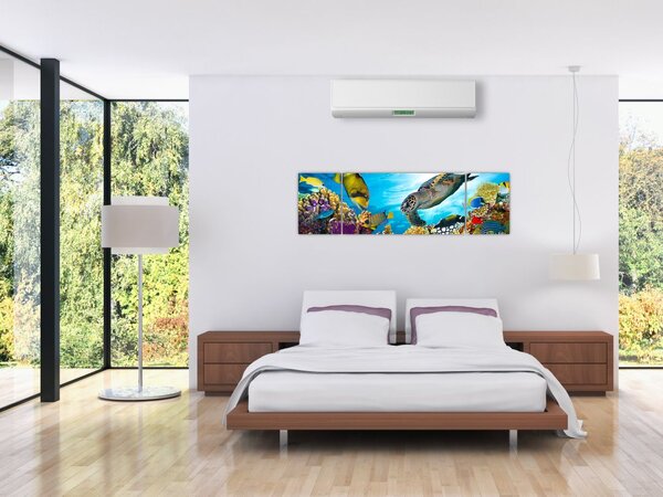 Obraz rafy koralowej (170x50 cm)