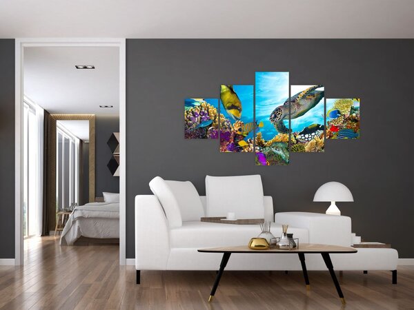Obraz rafy koralowej (125x70 cm)