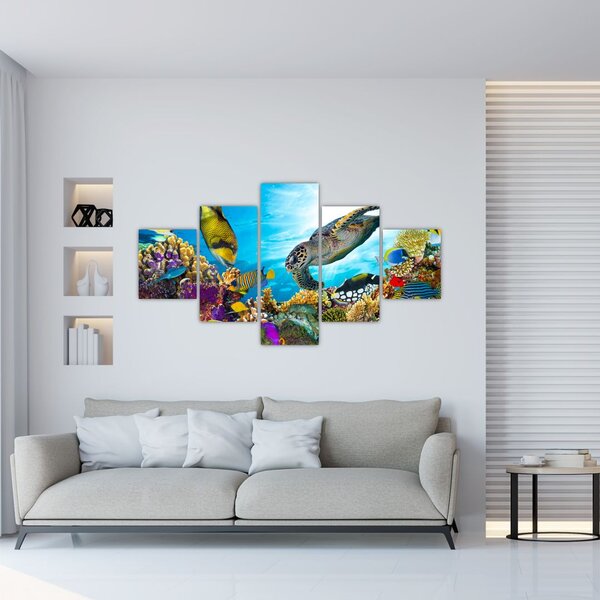 Obraz rafy koralowej (125x70 cm)