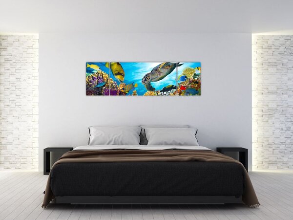 Obraz rafy koralowej (170x50 cm)