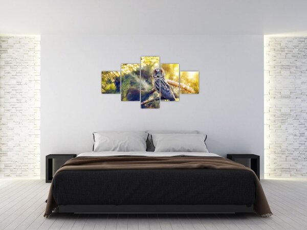 Obraz sowy na drzewie (125x70 cm)