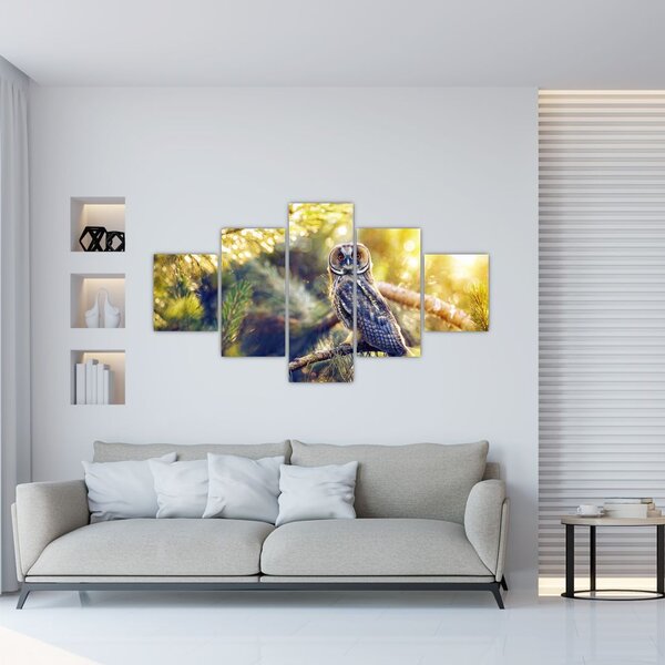 Obraz sowy na drzewie (125x70 cm)