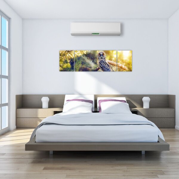 Obraz sowy na drzewie (170x50 cm)