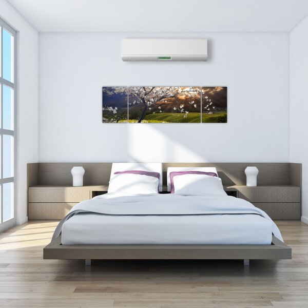 Obraz - Kwitnące drzewo w krajobrazie (170x50 cm)