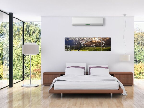 Obraz - Kwitnące drzewo w krajobrazie (170x50 cm)