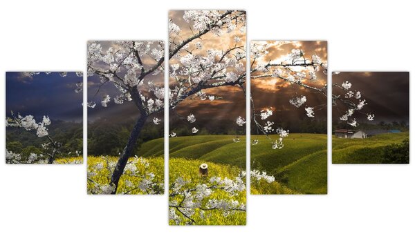 Obraz - Kwitnące drzewo w krajobrazie (125x70 cm)