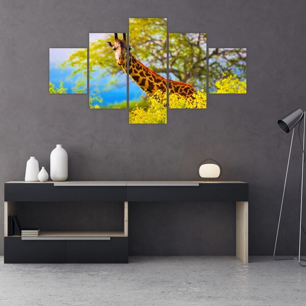 Obraz żyrafy w Afryce (125x70 cm)