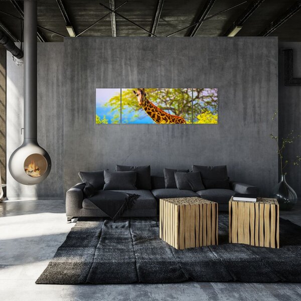 Obraz żyrafy w Afryce (170x50 cm)