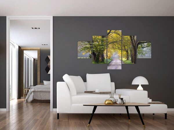 Zdjęcie - Smoky Mountains, Gatlinburg, USA (125x70 cm)