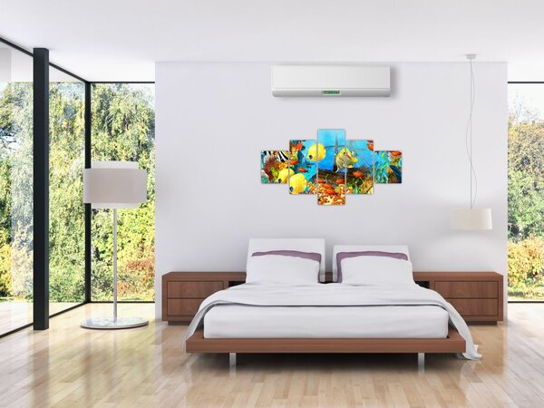 Obraz - Kolorowa rafa koralowa (125x70 cm)