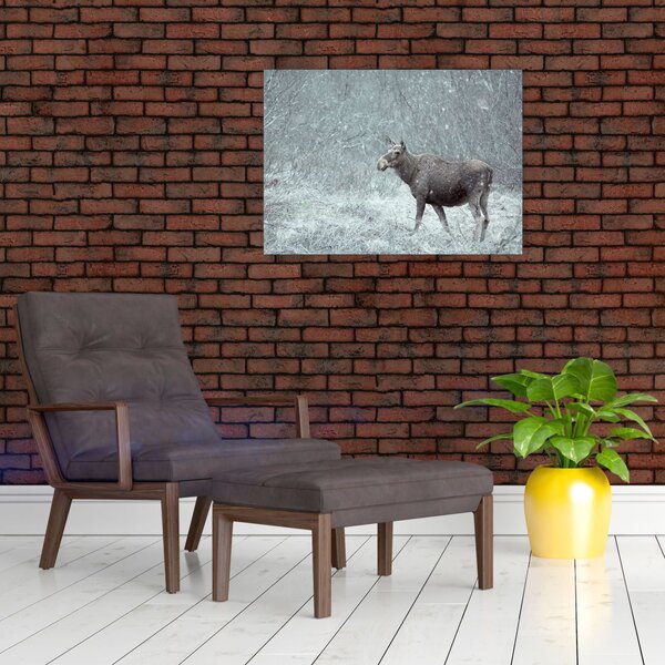Obraz - Łoś w śnieżnym lesie (70x50 cm)