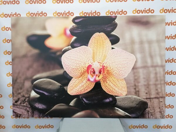Obraz żółta orchidea i kamienie Zen