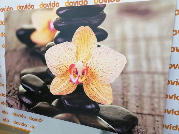 Obraz żółta orchidea i kamienie Zen
