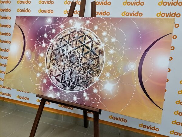Obraz czarująca Mandala