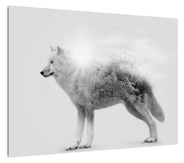 Obraz - Wilk arktyczny odzwierciedla dziki krajobraz (70x50 cm)