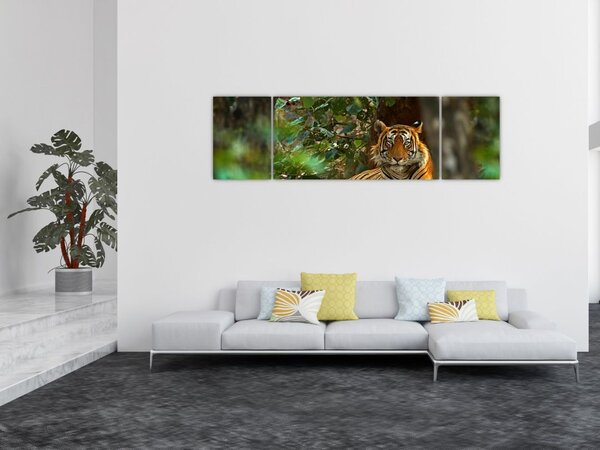 Obraz odpoczywającego tygrysa (170x50 cm)