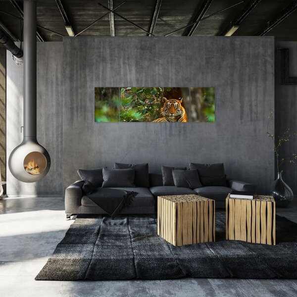 Obraz odpoczywającego tygrysa (170x50 cm)