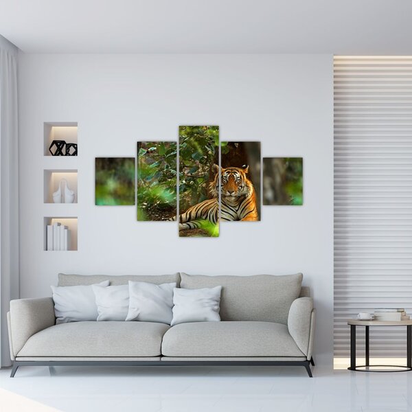 Obraz odpoczywającego tygrysa (125x70 cm)