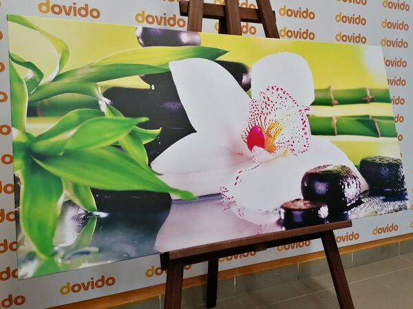 Obraz orchidea z motywem japońskim